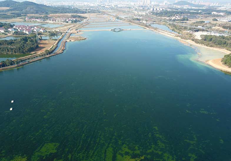 江西省新余市龍須溝水環(huán)境提升項(xiàng)目